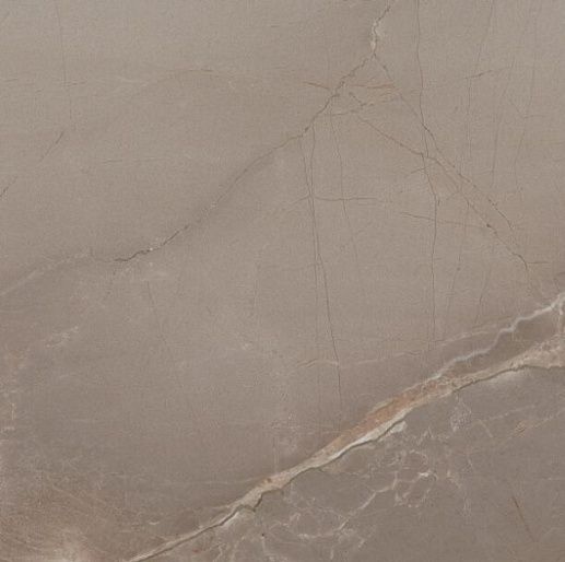 Passion Lux 60 Taupe 60x60 - фото 1