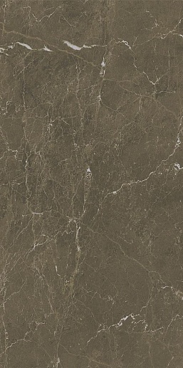 Italian Marble Coffee Brown Polished 60x120 - фото 1