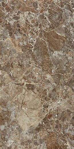 Paradiso Brown 120x240 - фото 1