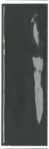 Artisan Green Bottle 5x15 - фото 1