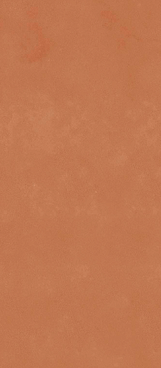 Retina RTN6 ARANC278RM 120x278 - фото 1