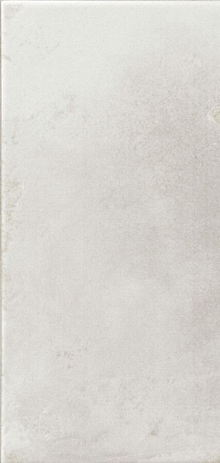 Riviera Blanc 15x30 - фото 1