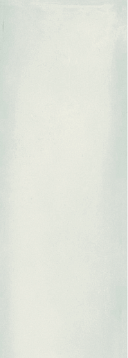 Intuition White Ret 29x100 - фото 1