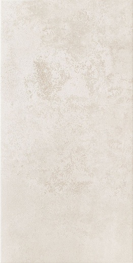 Neutral Grey 29.8x59.8 - фото 1