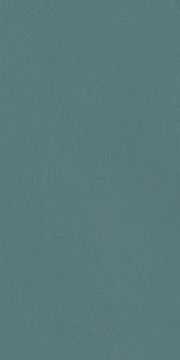 Треви Уолл Проджект Blue Brick 10x20 - фото 1