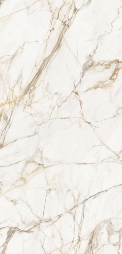 Calacata Gold Polished 120x 250 - фото 1