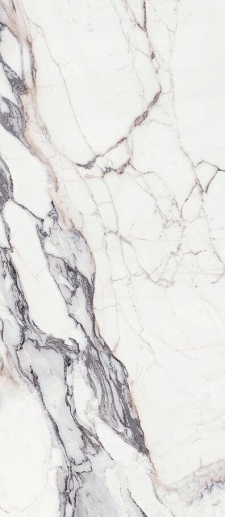Les Origines de Rex Argent Glossy 120x280 - фото 1