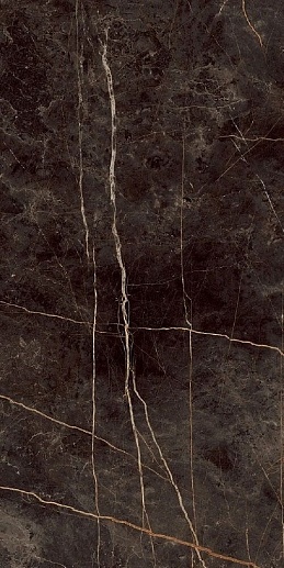 Stone Vision Black 60x120 - фото 1
