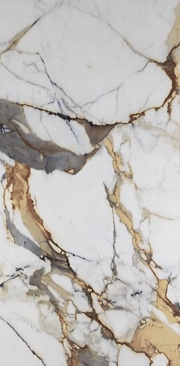 Vega Gold Polished Rec 60x120 - фото 1