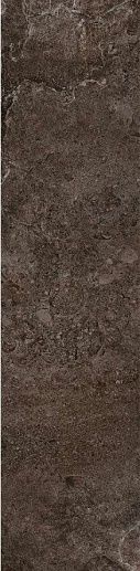 Des Alpes Bruno 23.7x97 Rett - фото 1