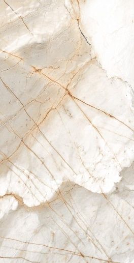 Scotish White Glossy 60x120 - фото 1