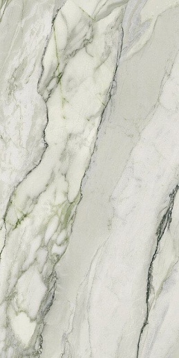 Arabescato Green Matt Rect 60x120 - фото 1