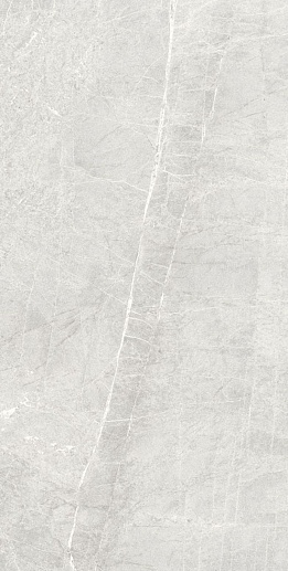 Persa Gris 60x120 - фото 1