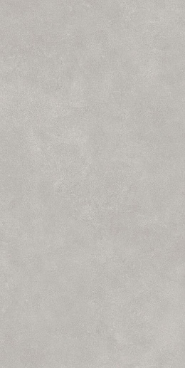 Metic Grey 60x120 - фото 1