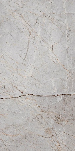 Silver Root 60x120 - фото 1