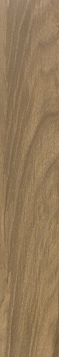 Walnut Tan 20x120 - фото 1