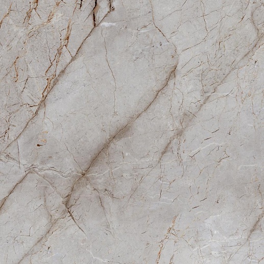 Silver Root 60x60 - фото 1