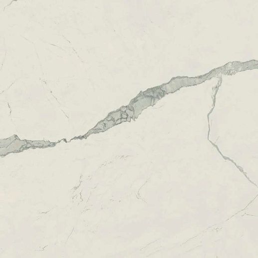 Empire Statuario Rett 80x80 - фото 1