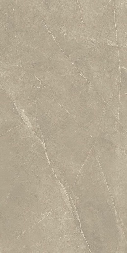 Pulpis Silver Rett 60x120 - фото 1