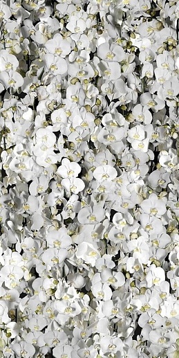 Paper41 Pro Eva 50x100 - фото 1