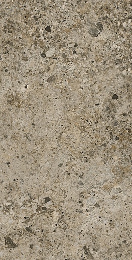 Marble Pietra Viva Matt 60x120 - фото 1