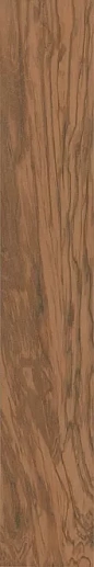 SG516300R Олива коричневый обрезной 20*119.5 - фото 1