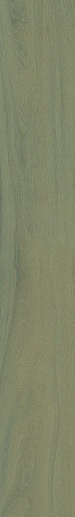 Lignum R Green 26x180 - фото 1