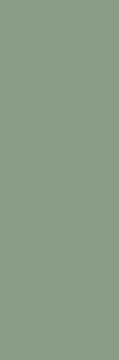 Ekzotic Olive 30x90 - фото 1
