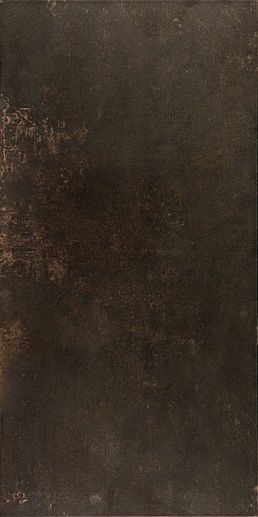 Evolution Bronce Lapatto Rect 49.1x98.2 - фото 1