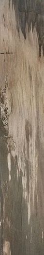 Jurassic Brown Lapp-rett 16.5x100 - фото 1