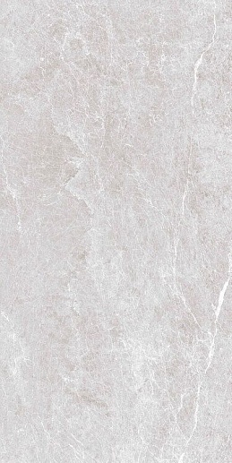 Eco Spider Grey 5.5 mm POLI 60x120 - фото 1