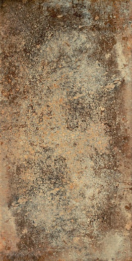 Credo Brown 30.8x60.8 - фото 1