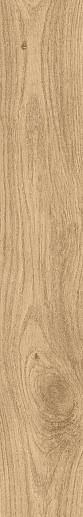 Orleans Natural 19.3x120 - фото 1