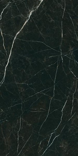 Desire Black Pol. 60x120 - фото 1