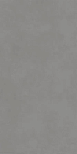 Concept Light Grey 60x120 - фото 1