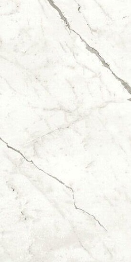 Marvel Shine Statuario Supremo 60x120 Matt - фото 1