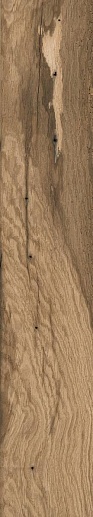 Cypress Wood Sandle Темно-бежевый Матовый Структурный 20x120 - фото 1