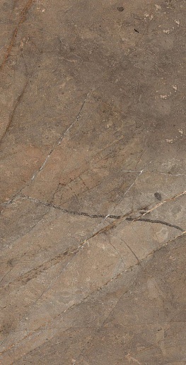 Bersa Коричневый 60x120 - фото 1