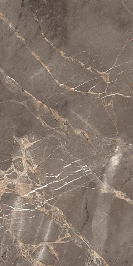 Marble Dove Brown 6.5 mm POLI 60x120 - фото 1