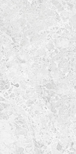 Brecia Adonis Grey Cветло-серый 60x120 - фото 1