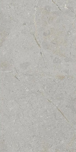 Una Pietra Nordix Gris Glossy 60x120 - фото 1