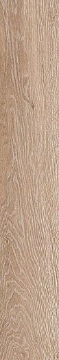 Legno 2012BS RM 20x120 - фото 1