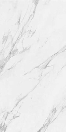 Salerno Grigio Polished 60x120 - фото 1