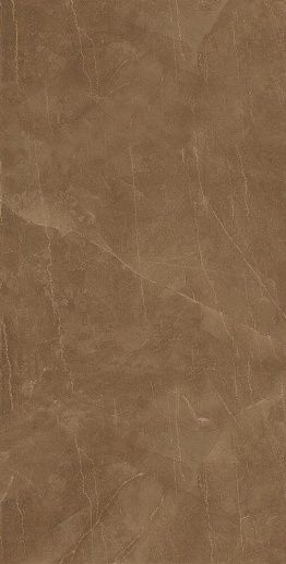 Athena Коричневый 60x120 - фото 1
