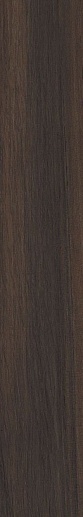 Opus Noce 16x100 - фото 1
