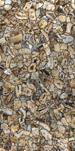 Ultra Agata Atena 150x300 - фото 1