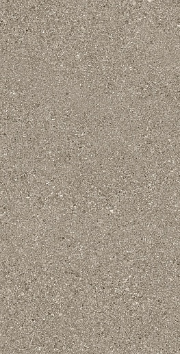 Grain Stone Fine Grain Taupe Nat.60x120 - фото 1