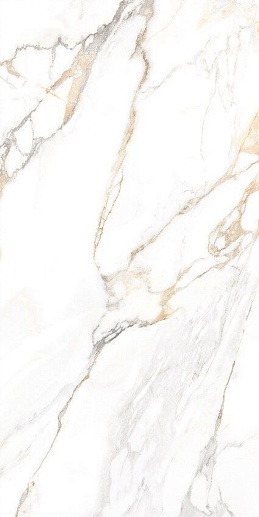 Trendy 60x120 - фото 1