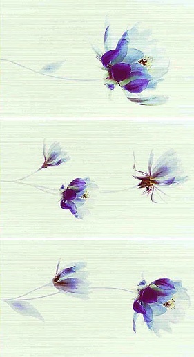 Bliss Coconut Bloom Decoro 34x56 - фото 1