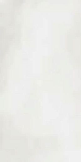 R-Evolution Total White 60x120 - фото 1